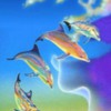 lavenderdolphins