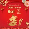 year of the rat